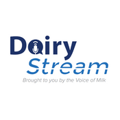 Dairy Stream