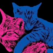 Dangerously yours x TV girl