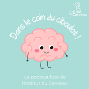 Dans le coin du ciboulot !