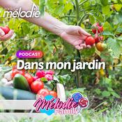 Dans mon jardin - Radio Mélodie