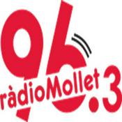 Darrers podcast - Ràdio Mollet