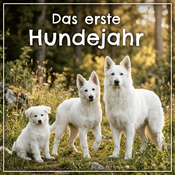 Das erste Hundejahr - vom Welpen durch die Pupertät
