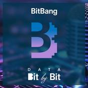 Data Bit by Bit