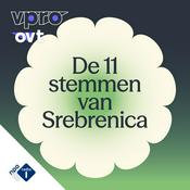De 11 stemmen van Srebrenica