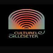 De Culturele Alleseter