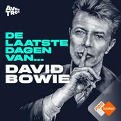 De Laatste Dagen Van... David Bowie
