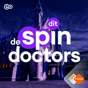 De Spindoctors