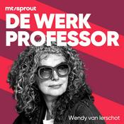 De Werkprofessor