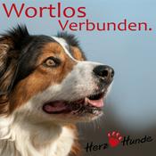 Deine Gassi-Runde als Heldenreise  mit Deinem Hund wortlos verbunden!