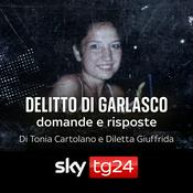 Delitto di Garlasco: domande e risposte