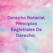 Derecho Notarial, Principios Registrales De Derecho.