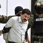 Descent Into War: The Rise of the Mexican Drug Cartel