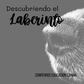 Descubriendo el laberinto