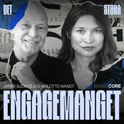 Det Stora Engagemanget
