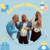 Det Stora lilla Livet