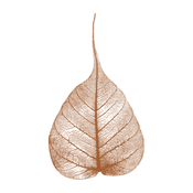 Dhammatalks.org Short Morning Talks