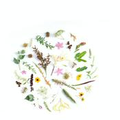 أذكار الصباح