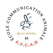 Dialogue Instinctif : le podcast pour tout savoir sur la communication animale