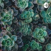 Diário da engenharia civil