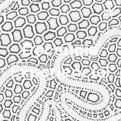 Docencia Experiencial