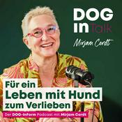 DOG-InTalk