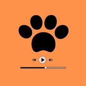 Dolittle - Il podcast di Bestiale