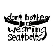 Don't Bother Wearing Seatbelts (An Elephant 6 Recording Company Podcast)