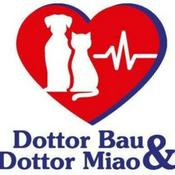 Dottor Bau & Dottor Miao
