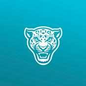 Duval Daily: A Jacksonville Jaguars Podcast
