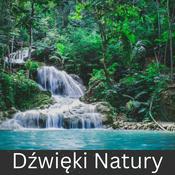 Dźwięki Natury