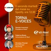 e-Voices