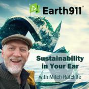 Sustainability In Your Ear