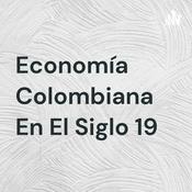 Economía Colombiana En El Siglo 19