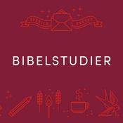 Efesierbrevet - Bibelstudier