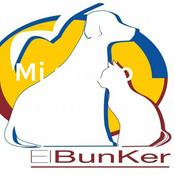 EL BÚNKER