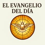El Evangelio del día – Lecturas católicas para cada mañana