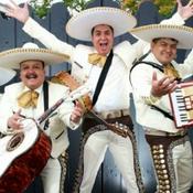 EL MARIACHI EN NOCHE DE ROMANCE