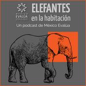 Elefantes en la habitación