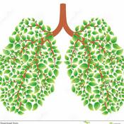 Elvis Fabrizio Carrasco Paredes