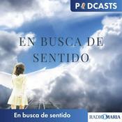 En busca de sentido
