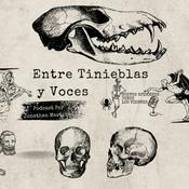 ENTRE TINIEBLAS Y VOCES