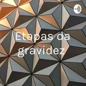 Etapas da gravidez