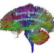 Execu-Sensory & Neuropedagogy Educational Consulting Services