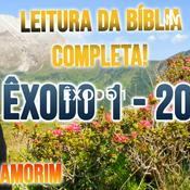 ÊXODO 1 - 20 | BÍBLIA EM AUDIO NVT | Pr. ROSANILDO AMORIM