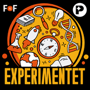 Experimentet