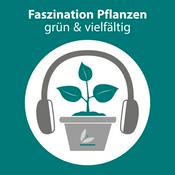 Faszination Pflanzen — grün & vielfältig