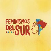 Feminismos del Sur