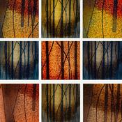 風情萬種政治學