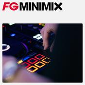 FG MINIMIX