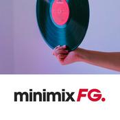 FG MINIMIX